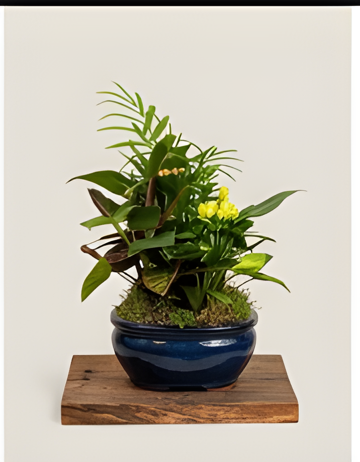 Mixed green plants with small yellow flowers planted in a blue ceramic bowl